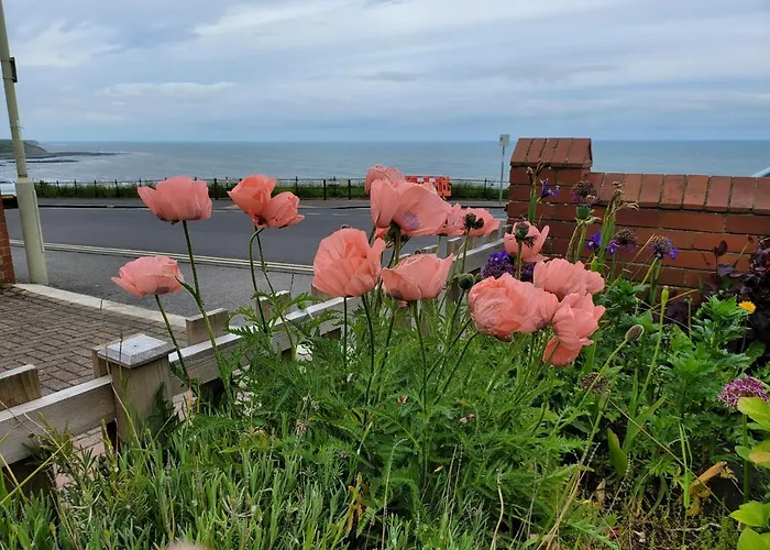 Seaside Ground Floor Flat Wifi & Free Parking